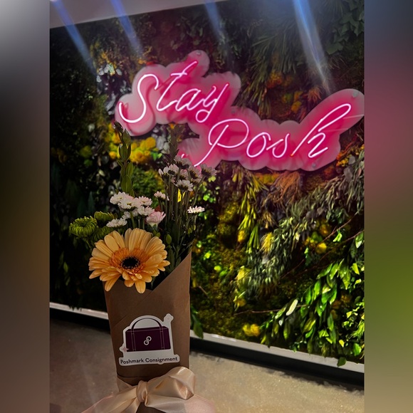 MISSMOBB IS LIVE 🩵🦆 - Picture 11 of 17